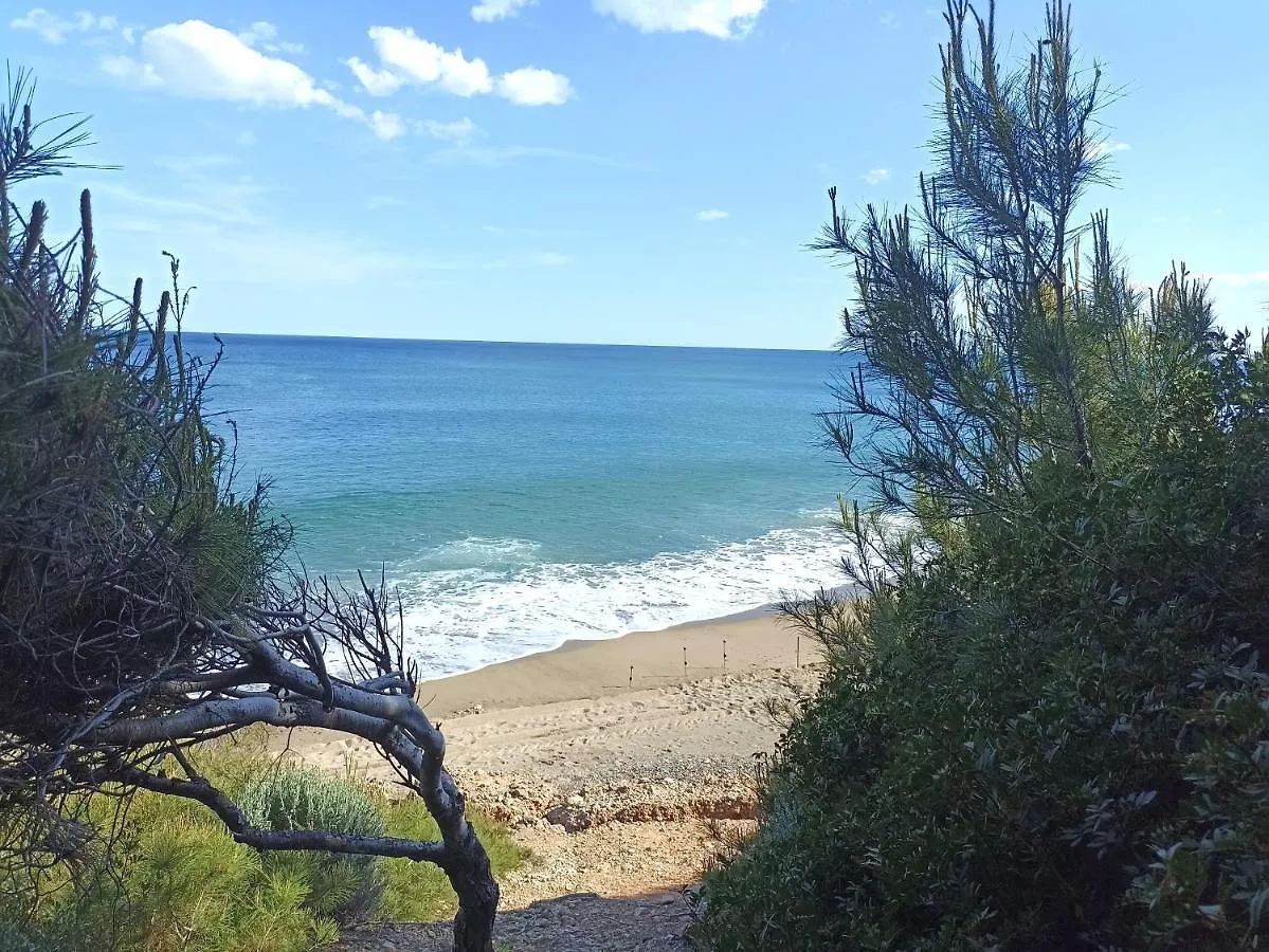 Panorama Διαμέρισμα Miami Playa